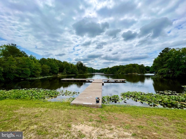 dock area featuring a water view