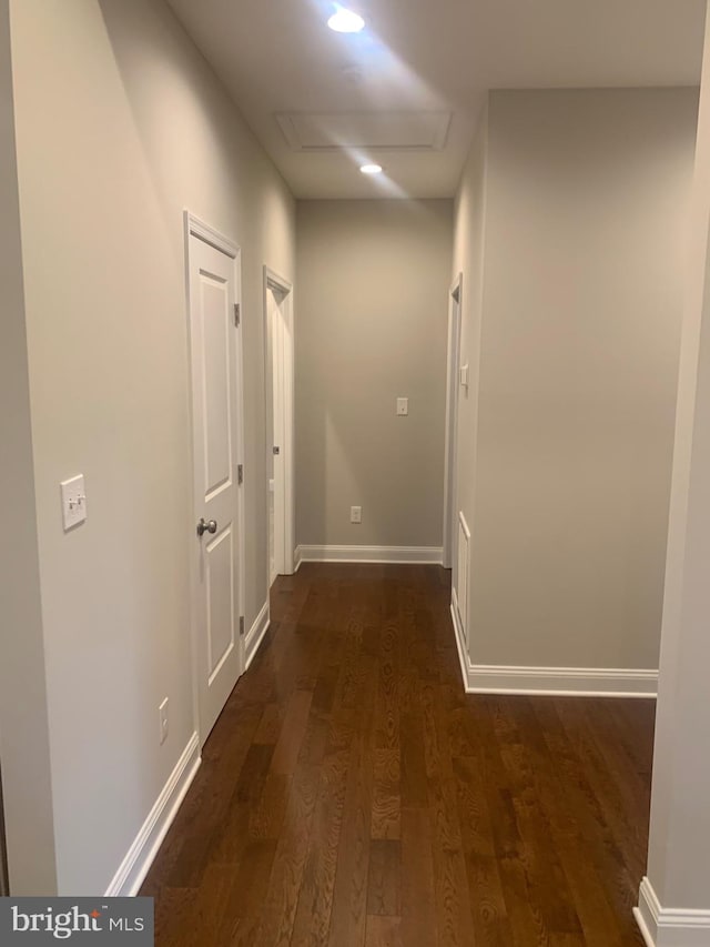 hallway featuring dark wood-type flooring