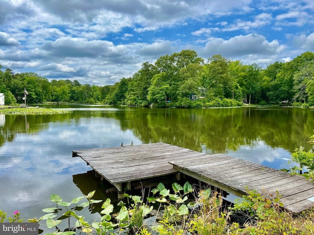 dock area featuring a water view