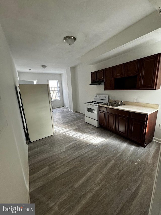 kitchen featuring dark brown cabinets, wood-type flooring, white appliances, and sink