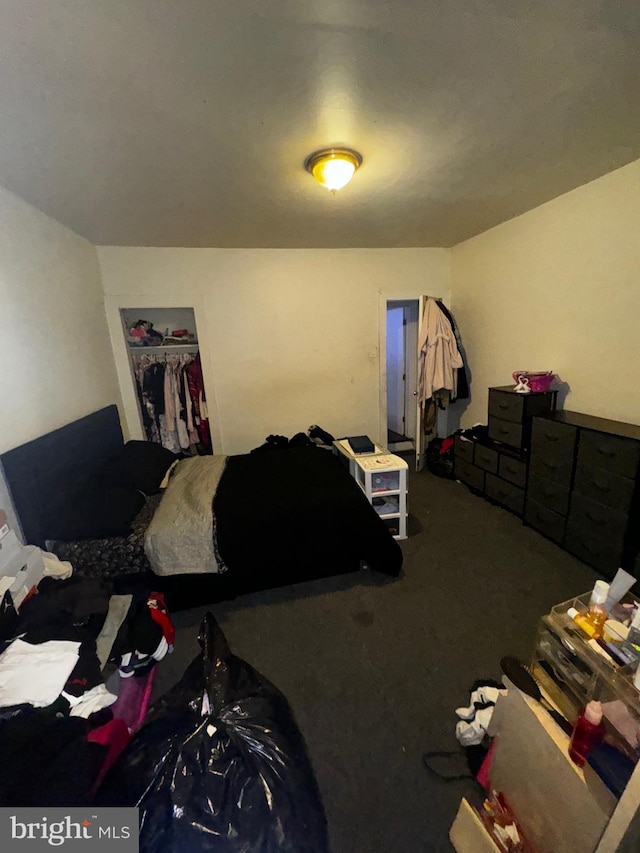 bedroom featuring a closet and carpet