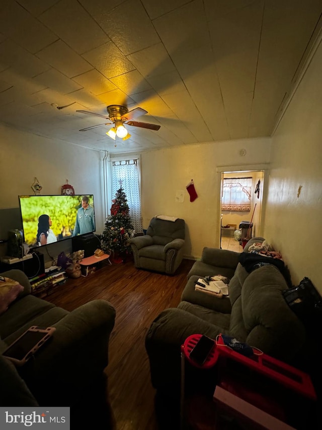 living room with ceiling fan and hardwood / wood-style flooring