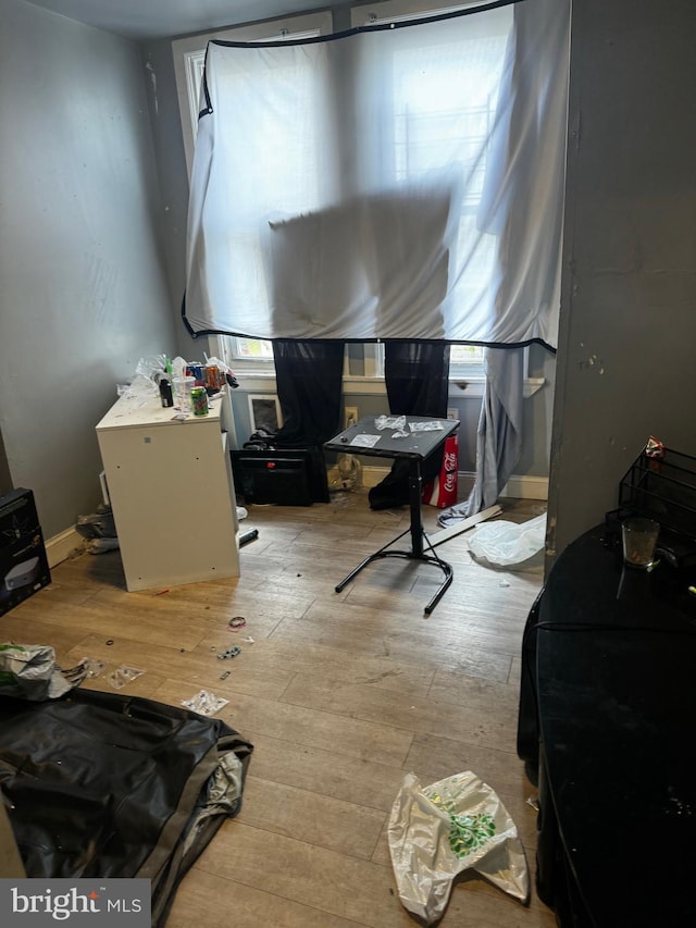 interior space featuring light hardwood / wood-style floors