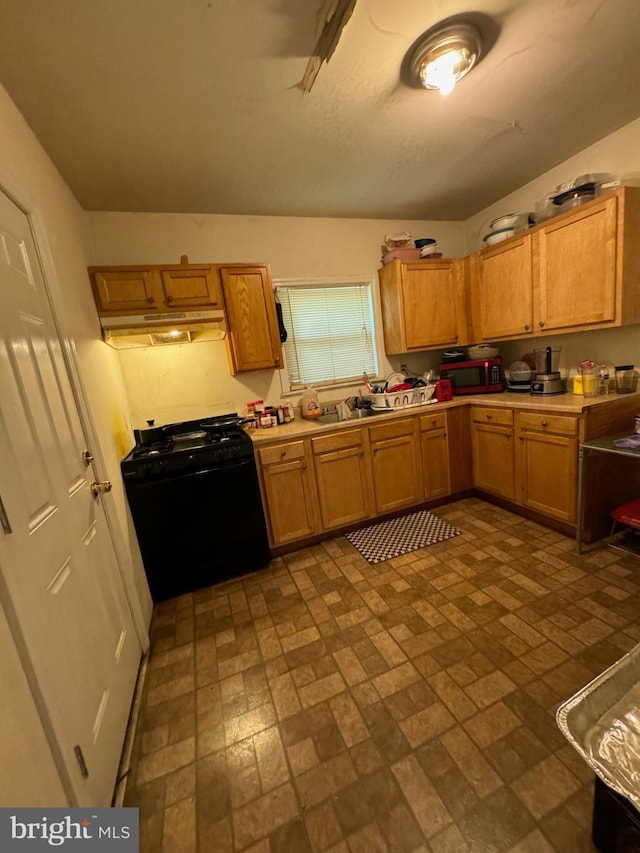 kitchen featuring black appliances and sink