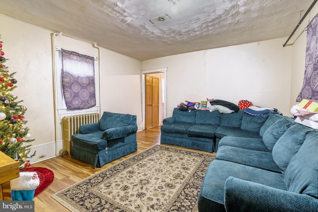 living room with wood-type flooring and radiator