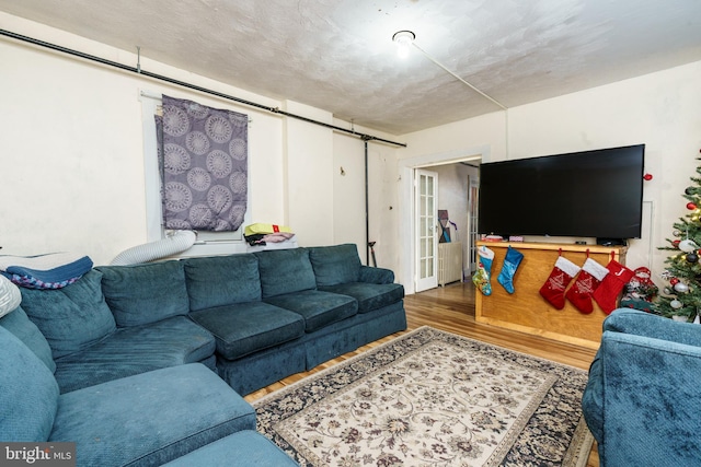 living room featuring hardwood / wood-style floors