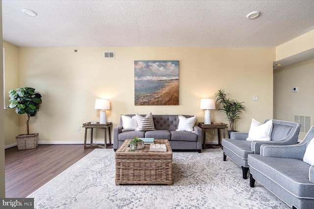 living room featuring a textured ceiling and hardwood / wood-style flooring