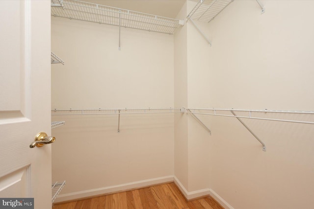 spacious closet with light wood-type flooring