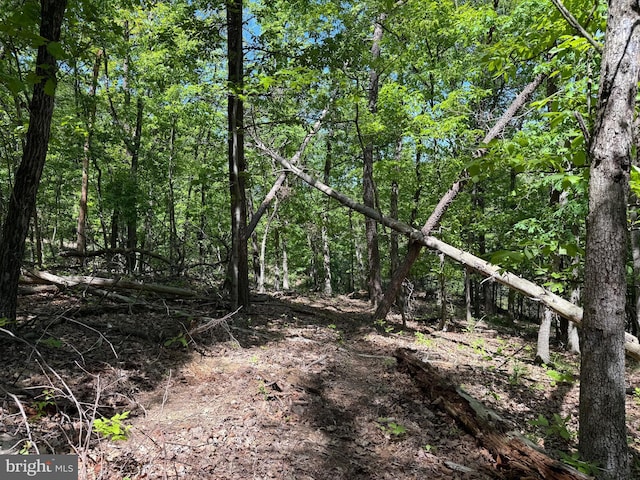 Winchester Grade Rd, Berkeley Springs, WV 25411
