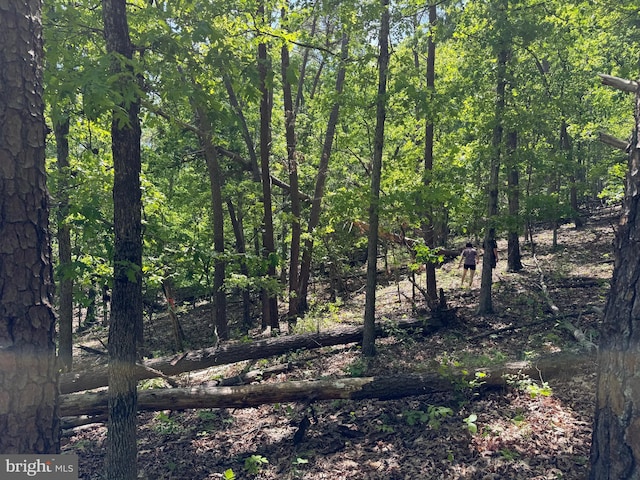 Winchester Grade Rd, Berkeley Springs, WV 25411