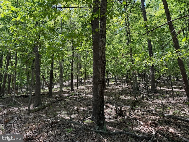 Winchester Grade Rd, Berkeley Springs, WV 25411