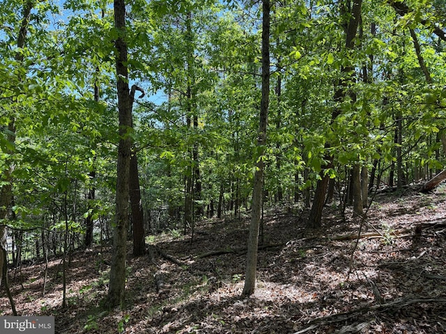 Winchester Grade Rd, Berkeley Springs, WV 25411