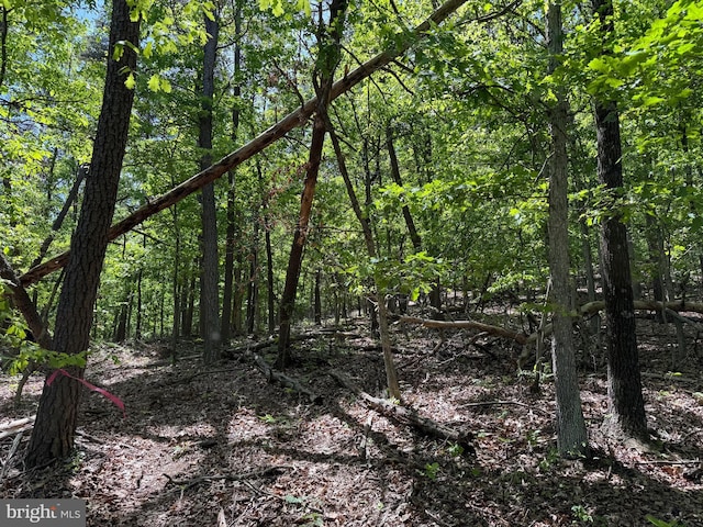 Winchester Grade Rd, Berkeley Springs, WV 25411