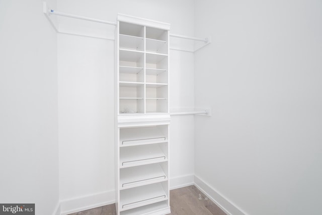 walk in closet featuring hardwood / wood-style flooring