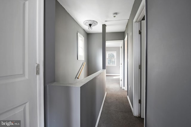 hallway featuring carpet flooring