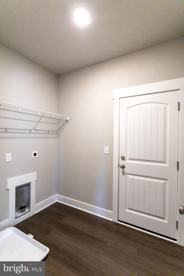 laundry room featuring hookup for an electric dryer and dark wood-type flooring