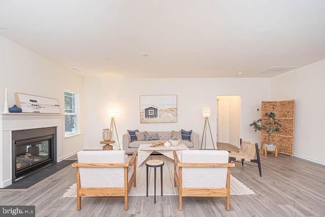 living room featuring wood-type flooring