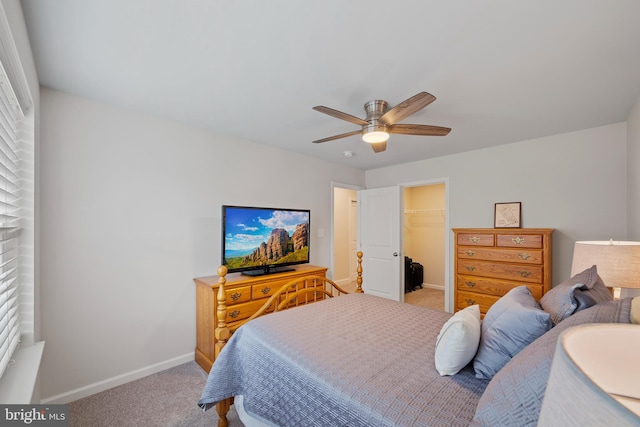 bedroom with a closet, a walk in closet, light colored carpet, and ceiling fan