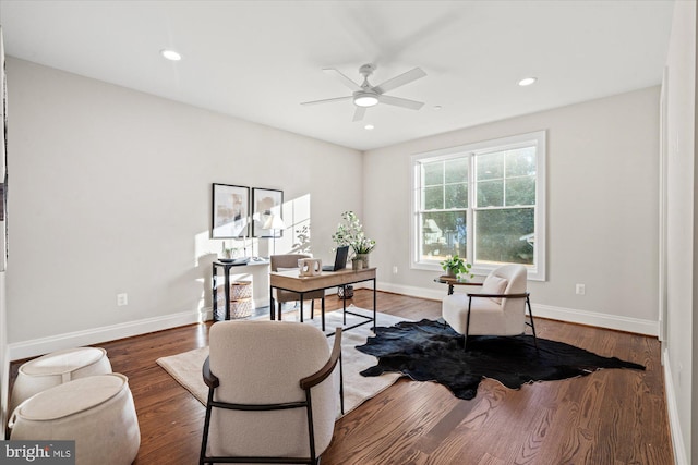 office space with dark hardwood / wood-style flooring and ceiling fan