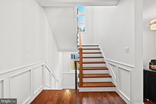 stairs featuring hardwood / wood-style floors and a healthy amount of sunlight