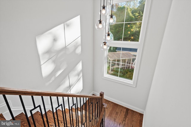 staircase with wood-type flooring