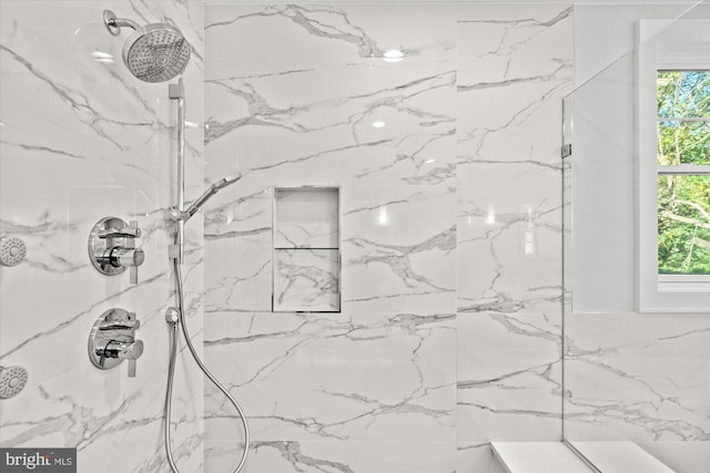 interior space featuring tiled shower and a wealth of natural light