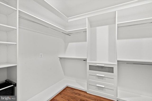 walk in closet featuring hardwood / wood-style floors