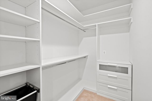 walk in closet with light colored carpet