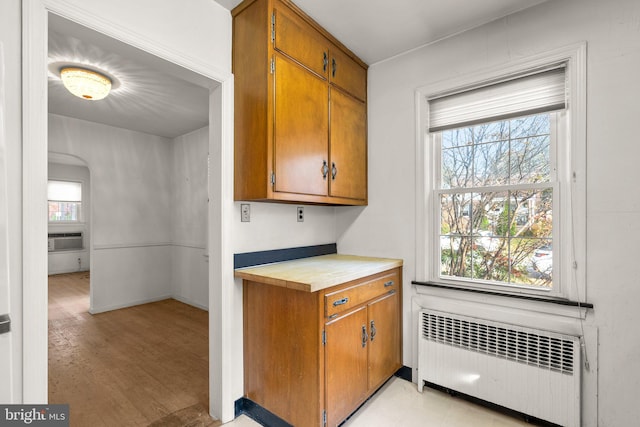 kitchen with radiator and light hardwood / wood-style floors