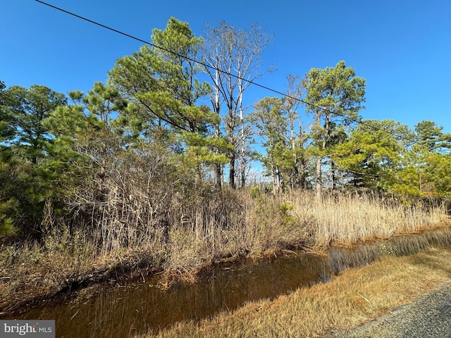 Listing photo 2 for PARCEL75 Riley Roberts Rd, Deal Island MD 21821