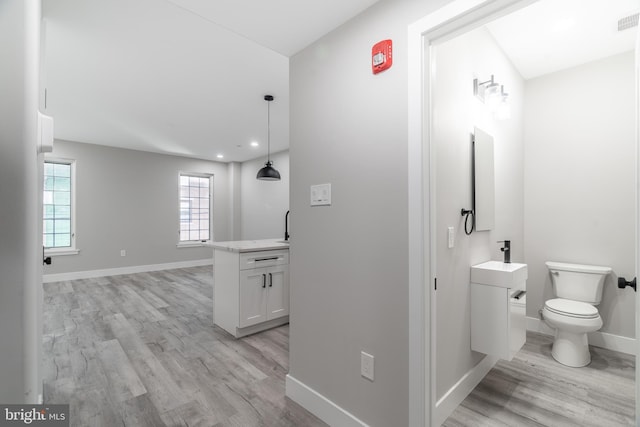 bathroom with hardwood / wood-style floors, vanity, and toilet