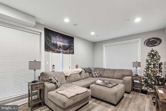 living room with light hardwood / wood-style flooring