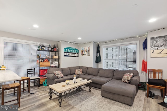 living room with light wood-type flooring