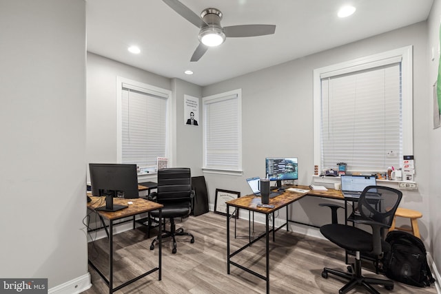 home office featuring light hardwood / wood-style flooring and ceiling fan