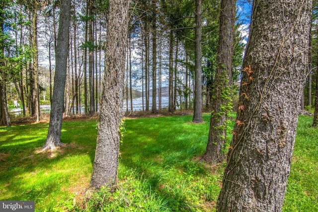 view of local wilderness featuring a water view