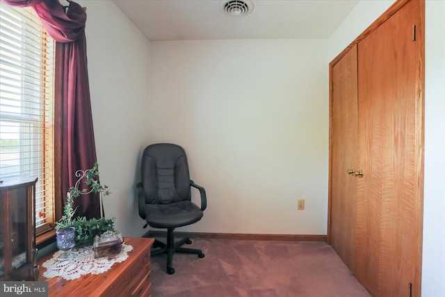 625 Brown Rd, Myerstown, PA 17067 - office featuring carpet flooring and baseboards
