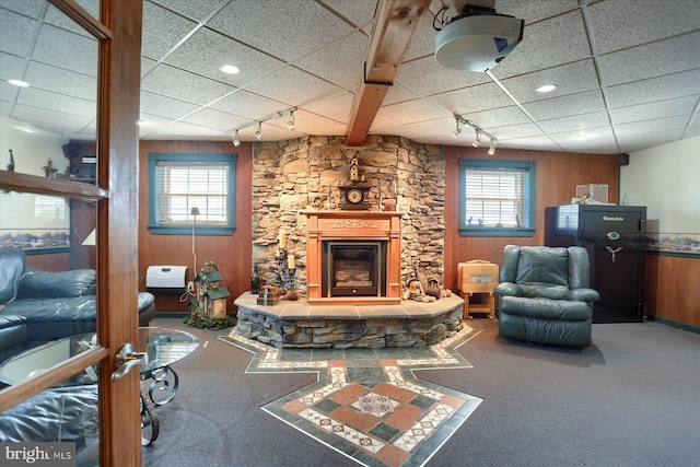 carpeted living room with a healthy amount of sunlight, wooden walls, and track lighting