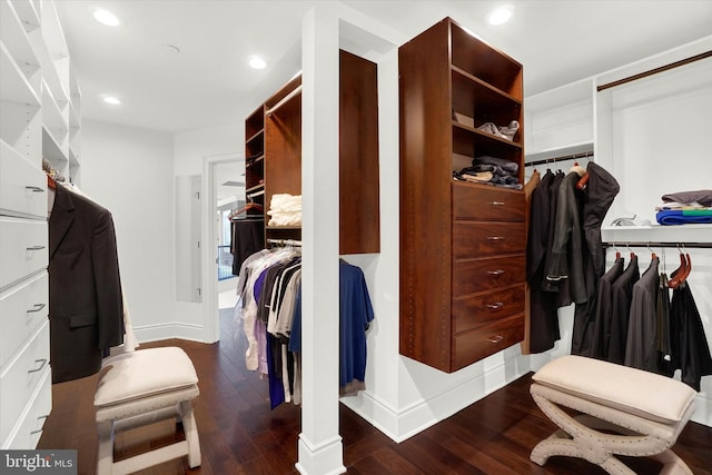 spacious closet with dark wood-type flooring