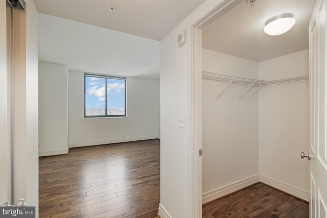 spacious closet with dark hardwood / wood-style flooring