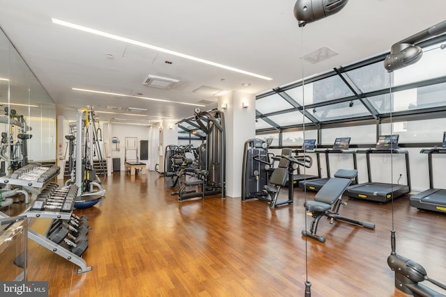 gym featuring hardwood / wood-style flooring