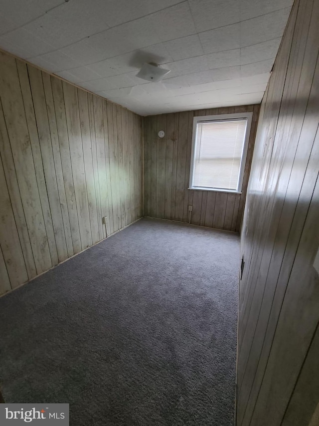 spare room with carpet floors and wooden walls