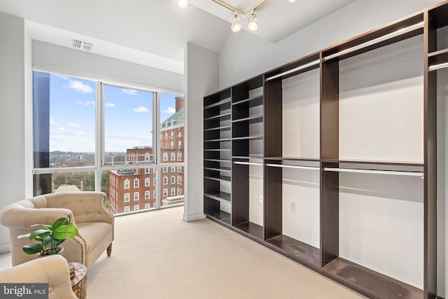 spacious closet featuring carpet floors