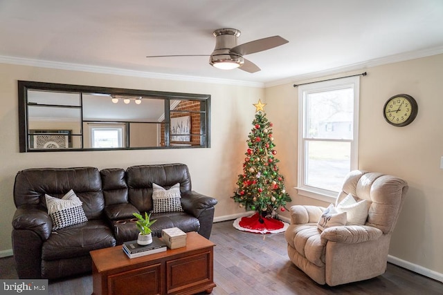 living room with ceiling fan, plenty of natural light, wood-type flooring, and ornamental molding