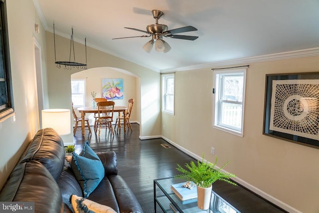 living room with crown molding, ceiling fan, and dark hardwood / wood-style floors