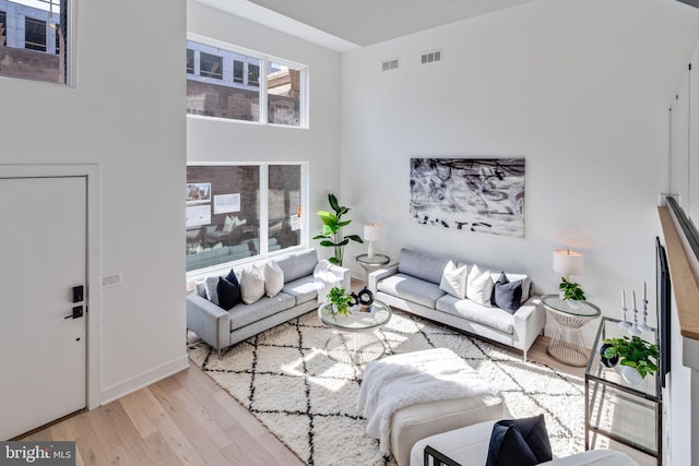 living room with light hardwood / wood-style floors