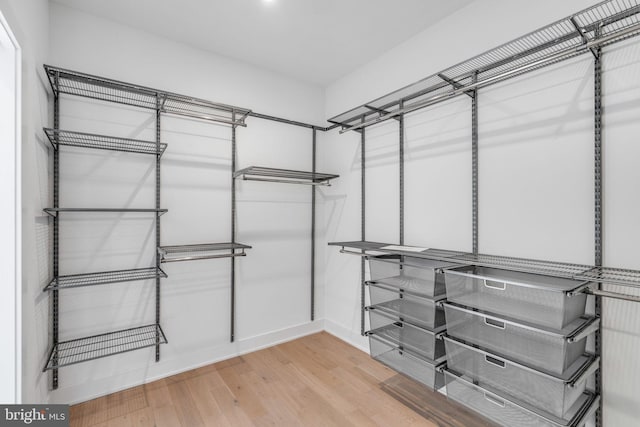 walk in closet with light wood-type flooring