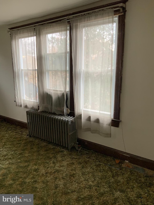 room details featuring radiator heating unit and carpet