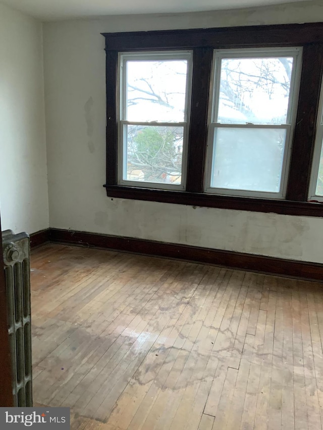 empty room with radiator heating unit, a wealth of natural light, and light hardwood / wood-style flooring