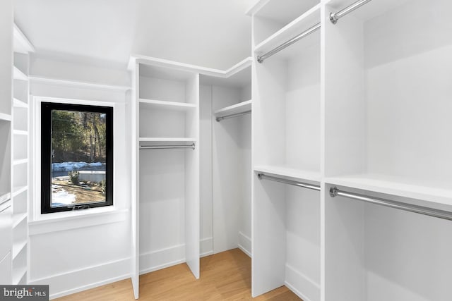 spacious closet featuring light wood-type flooring