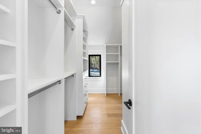 spacious closet featuring light hardwood / wood-style floors